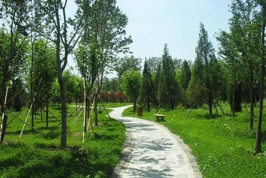 園林綠化公司帶您了解夏季綠化養(yǎng)護(hù)小知識