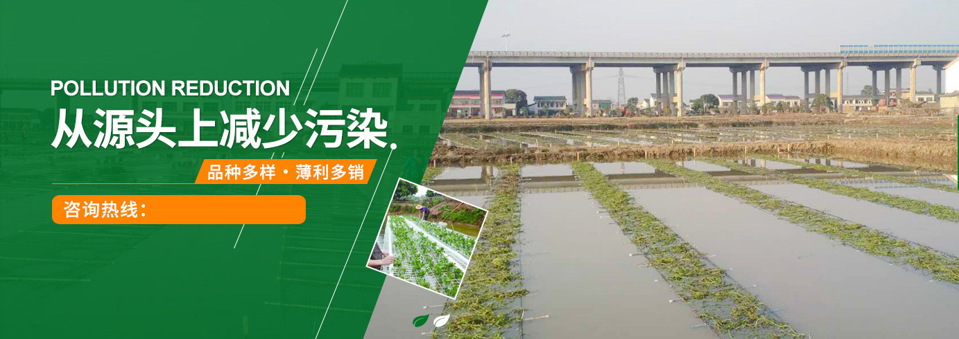 企業(yè)文化(圖1)